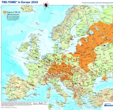 Ryzyko kleszczowego zapalenia mózgu w Europie