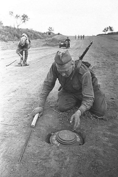 Sowieccy saperzy rozminowują drogę z min przeciwpancernych Tellermine 43, Kursk, 1943