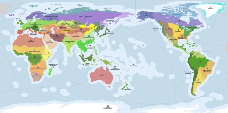Mapa podkrólestw biologicznych autorstwa OneEarth