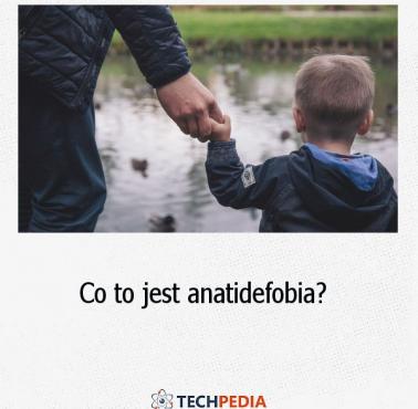 Co to jest anatidefobia?