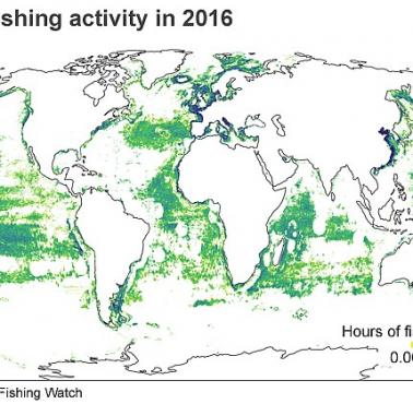Globalna działalność połowowa w 2016 roku
