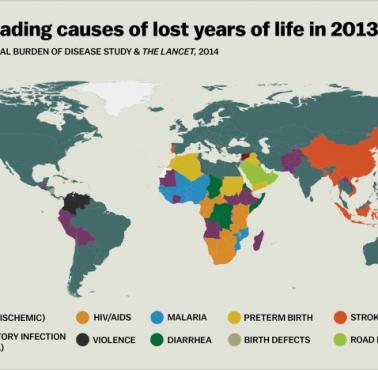 Dominujące przyczyny przedwczesnej śmierci według kraju, 2013