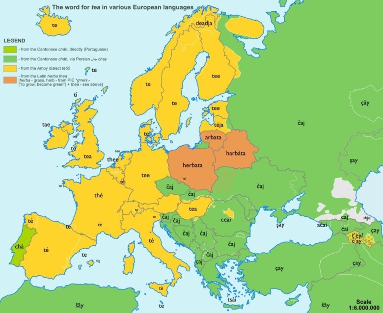 Słowo herbata w różnych europejskich językach