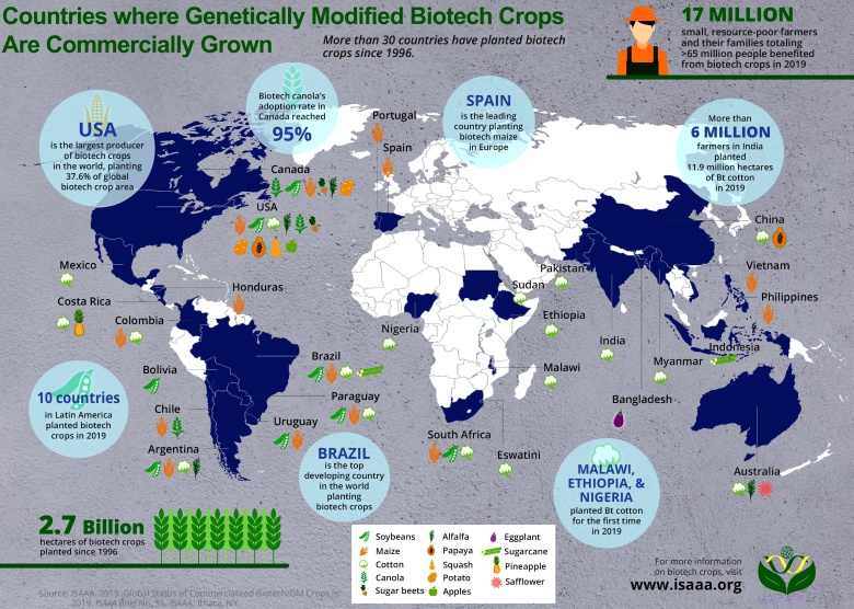 Kraje, w których komercyjnie uprawia się rośliny zmodyfikowane genetycznie (GMO, genetically modified organism)
