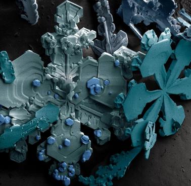 Kryształy śniegu pod mikroskopem elektronowym