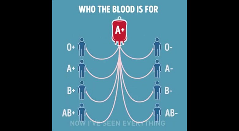 Kto komu może przekazać krew (animacja)