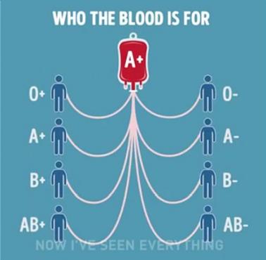 Kto komu może przekazać krew (animacja)