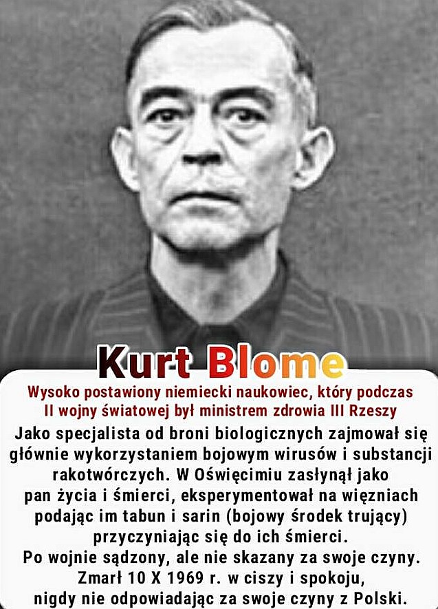 Historia kariery Kurta Blome