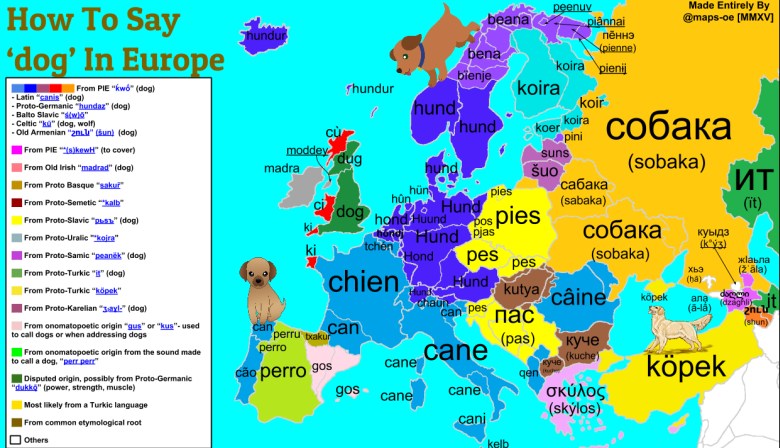 Słowo pies w różnych europejskich językach