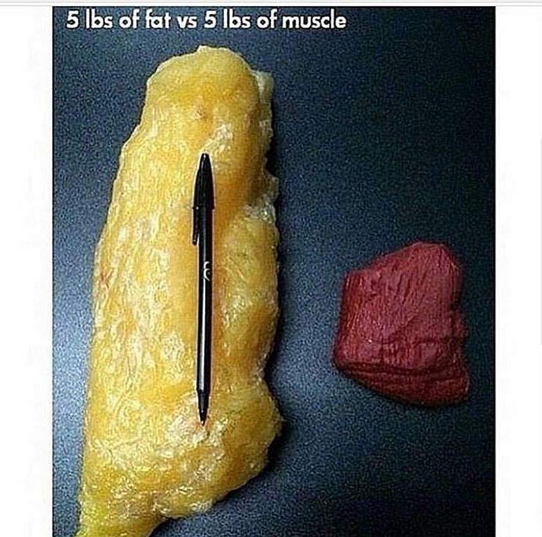 2,26 kg tłuszczu w stosunku do 2,26 kg mięśni
