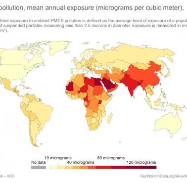 Zanieczyszczenie powietrza według krajów (PM2,5), 2015