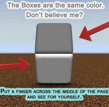 Oba kwadraty mają ten sam kolor - iluzja optyczna