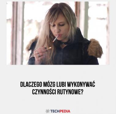 Dlaczego mózg lubi wykonywać czynności rutynowe?