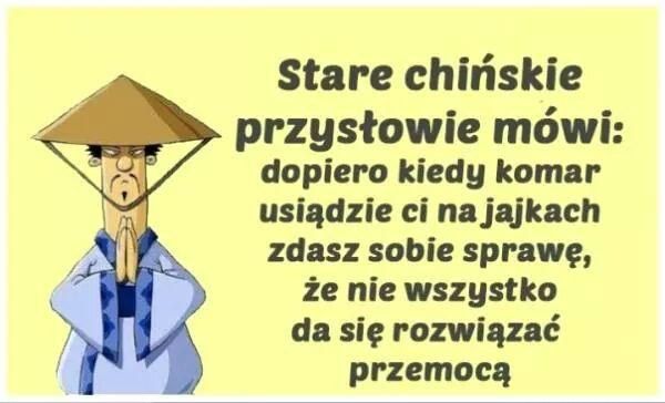 Stare chińskie przysłowie mówi Dopiero kiedy komar usiądzie Ci na jajkach zdasz sobie sprawę, ze nie wszystko da się ...