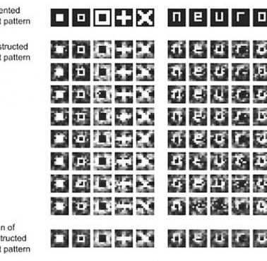 Poprzez skanowanie rezonansem magnetycznym (fMRI) naukowcy byli w stanie rozpoznać, jakie symbole oglądał badany