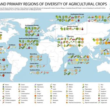 Źródła i główne regiony różnorodności upraw rolnych