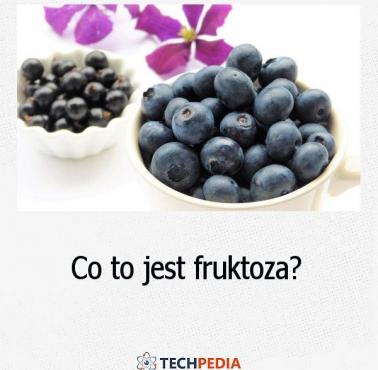 Co to jest fruktoza?