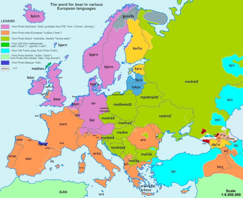 Słowo niedźwiedź w różnych europejskich językach