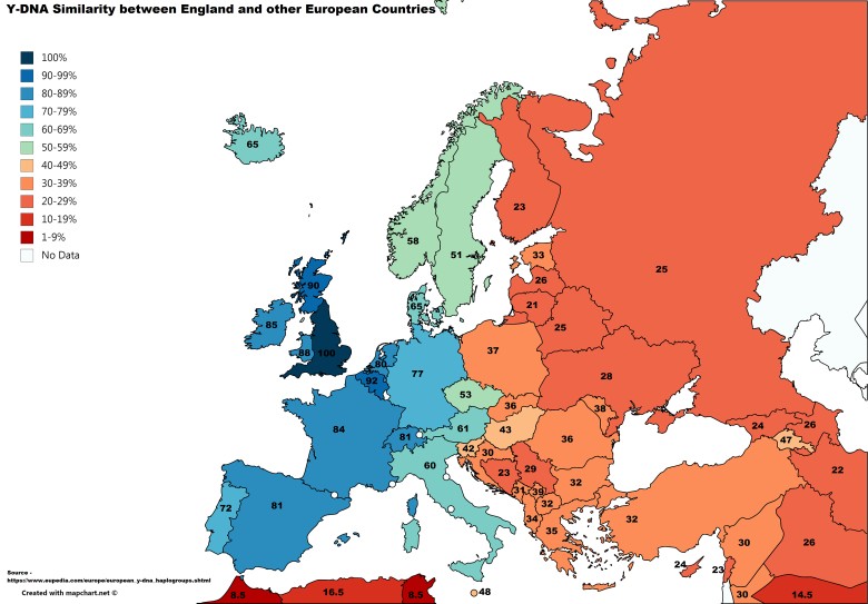 Podobieństwo Y-DNA między Anglikami a mieszkańcami pozostałych europejskich państw (w %)