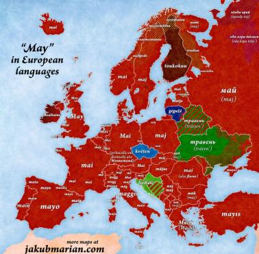 Słowo "maj" w różnych europejskich językach