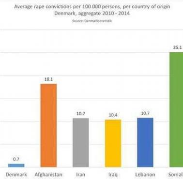 Narodowość gwałcicieli w Danii