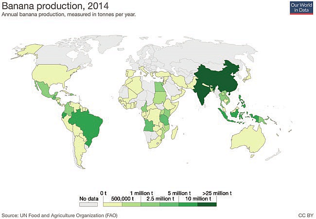 Światowa produkcja bananów według krajów pochodzenia, 2014