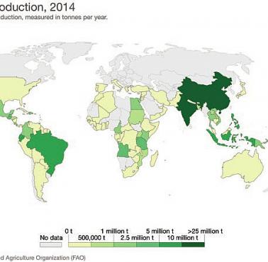 Światowa produkcja bananów według krajów pochodzenia, 2014