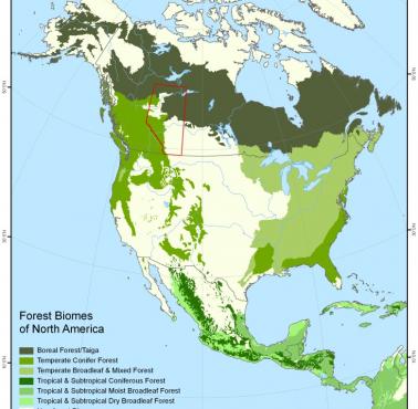 Biomy leśne Ameryki Północnej