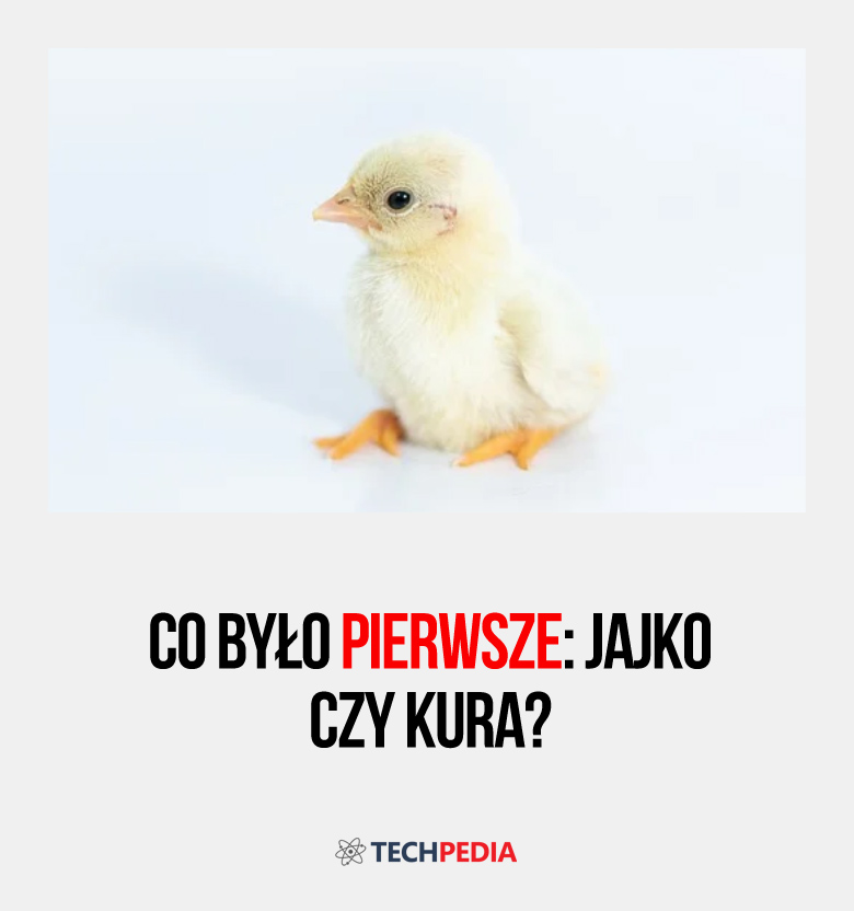 Co było pierwsze: jajko czy kura?