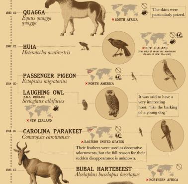 Lista wymarłych zwierząt