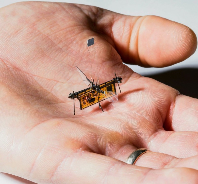 Najmniejszy na świecie autonomiczny robot latający