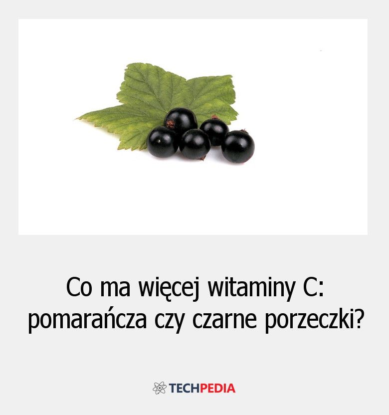 Co ma więcej witaminy C: pomarańcza czy czarne porzeczki?