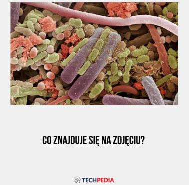 Co znajduje się na zdjęciu?