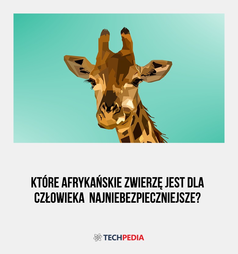 Które afrykańskie zwierzę jest dla człowieka  najniebezpieczniejsze?