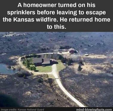 Właściciel tego domu w Kansas zdążył włączyć zraszacze zanim pożar dotarł do jego działki