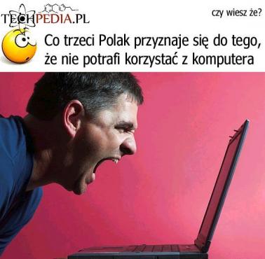 Polacy a komputery