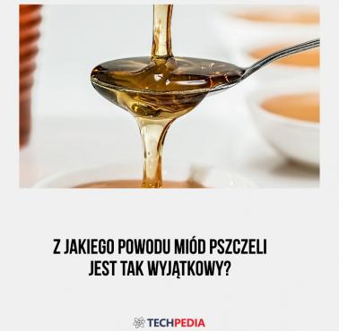 Z jakiego powodu miód pszczeli jest tak wyjątkowy?