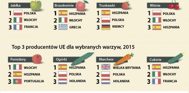 Najwięksi producenci niektórych owoców i warzyw w Unii, 2015