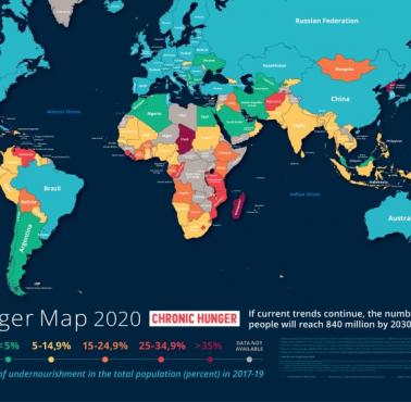 Światowy Program Żywnościowy, mapa głodu, 2020