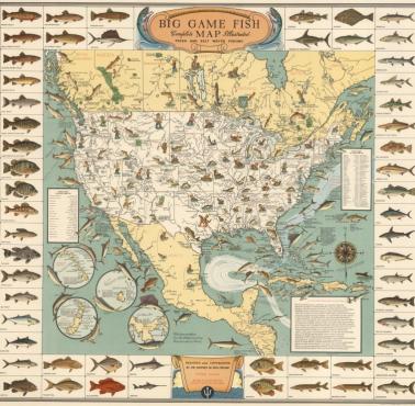 Ryby w USA, 1936