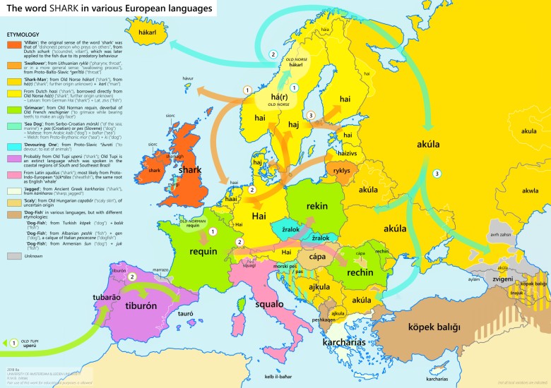 Słowo rekin w różnych europejskich językach