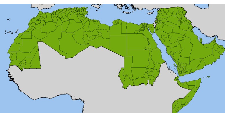 Liga Państw Arabskich