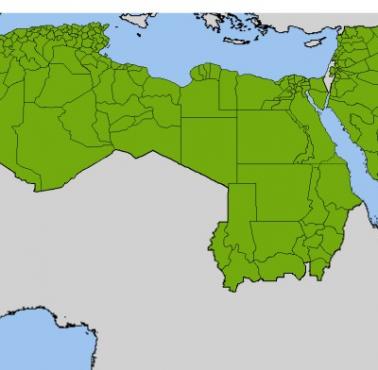 Liga Państw Arabskich