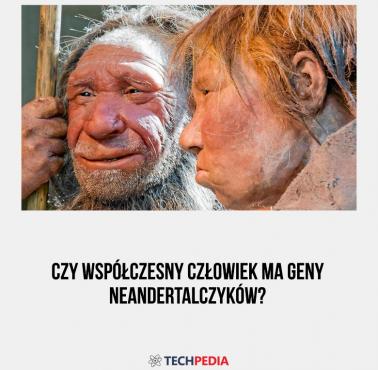 Czy współczesny człowiek ma geny neandertalczyków?