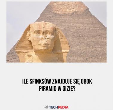 Ile sfinksów znajduje się obok piramid w Gizie?