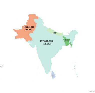 Ludność islamska w Azji Południowej