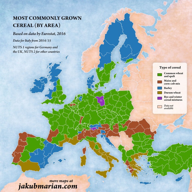 Najczęściej uprawiane zboże według regionu w Europie