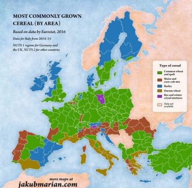 Najczęściej uprawiane zboże według regionu w Europie