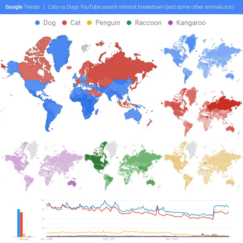Najpopularniejsze zwierzaki na świecie według wyszukiwań Googla