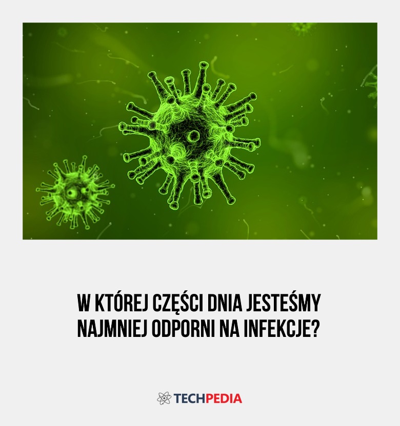 W której części dnia jesteśmy najmniej odporni na infekcje?